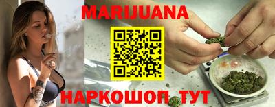 крисы Можга