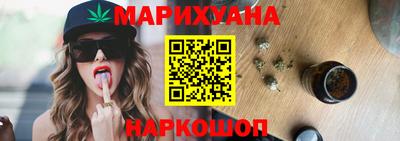 крисы Можга
