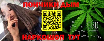 крисы Можга
