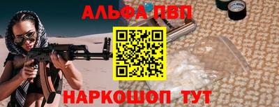крисы Можга
