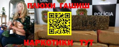 крисы Можга